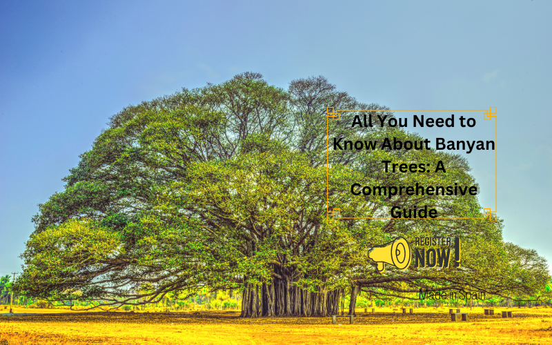 All You Need to Know About Banyan Trees A Comprehensive Guide — Kadiyam Nursery