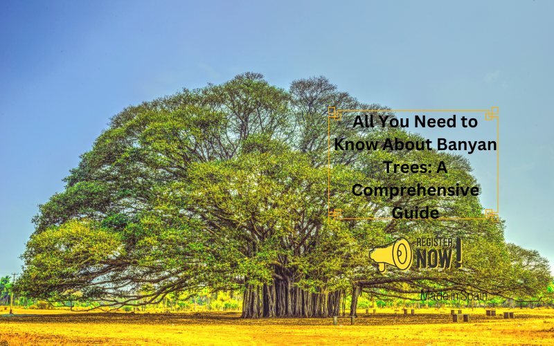 All You Need to Know About Banyan Trees: A Comprehensive Guide ...