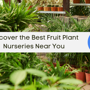 Fruit Plant Nurseries Near You