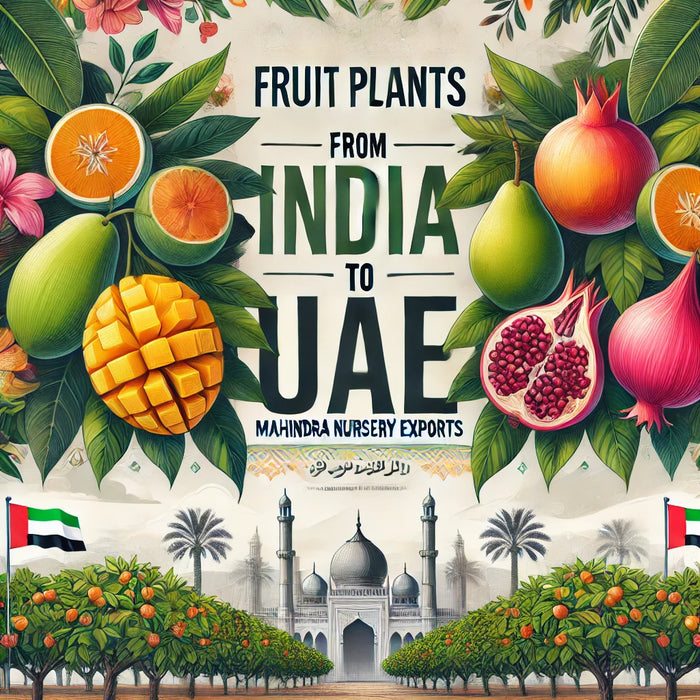  Fruit Plants from India to UAE