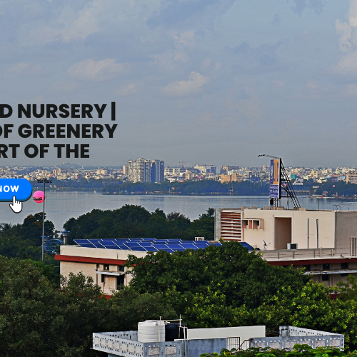 Hyderabad Nursery