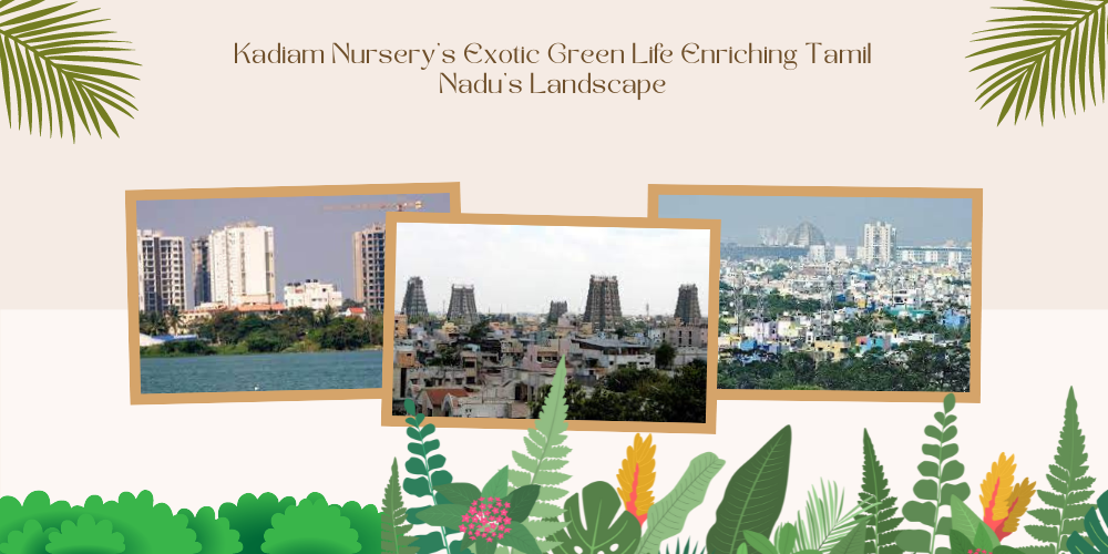 Kadiam Nursery’s Exotic Green Life Enriching Tamil Nadu’s Landscape