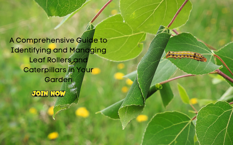 A Comprehensive Guide to Identifying and Managing Leaf Rollers and Cat