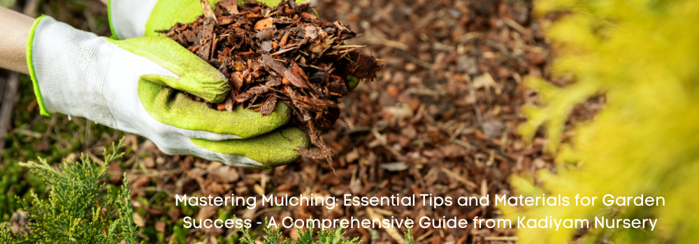 Mastering Mulching: Essential Tips and Materials for Garden