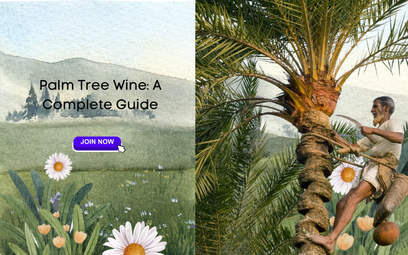 Palm Tree Wine