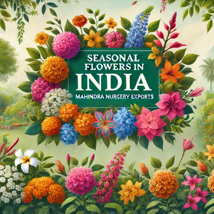 Seasonal Flowers in India 🌸 | Year-Round Guide to Beautiful Blooms by Mahindra Nursery Exports