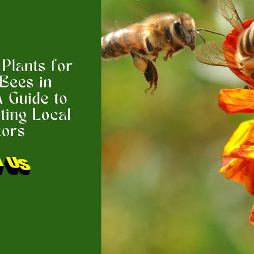 Top 10 Plants for Honey Bees