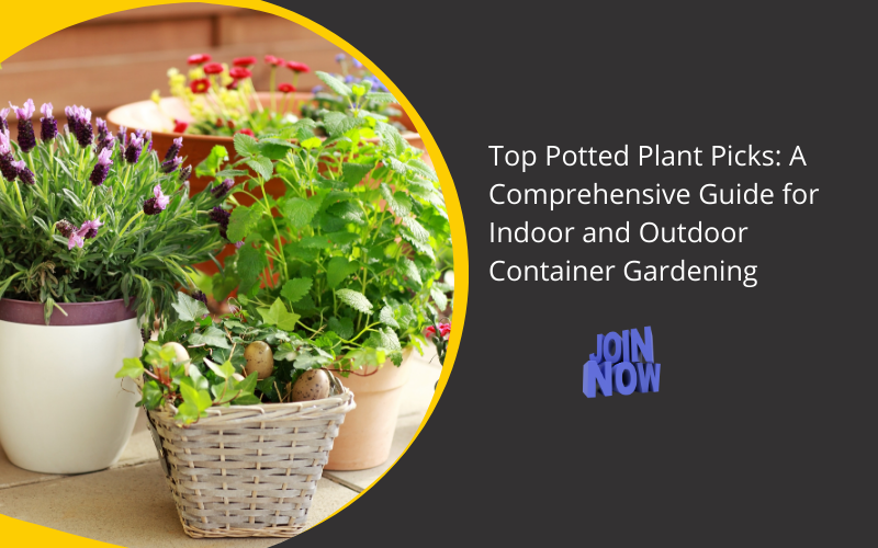 Top Potted Plants