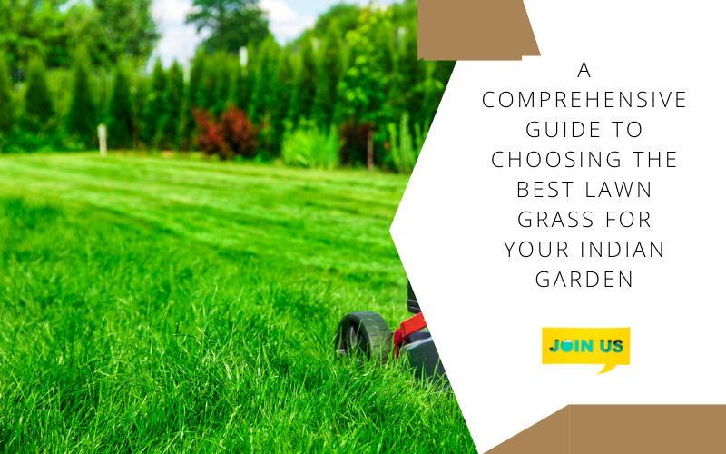 How to Choose the Best Grass Height & Other Winter Lawn Tips