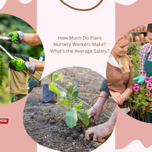 how much do plant nursery workers make