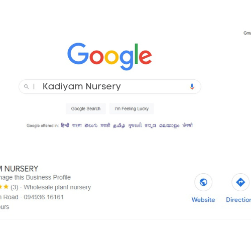 Kadiyam Nursery and How You Can Find the Phone Number - Kadiyam Nursery