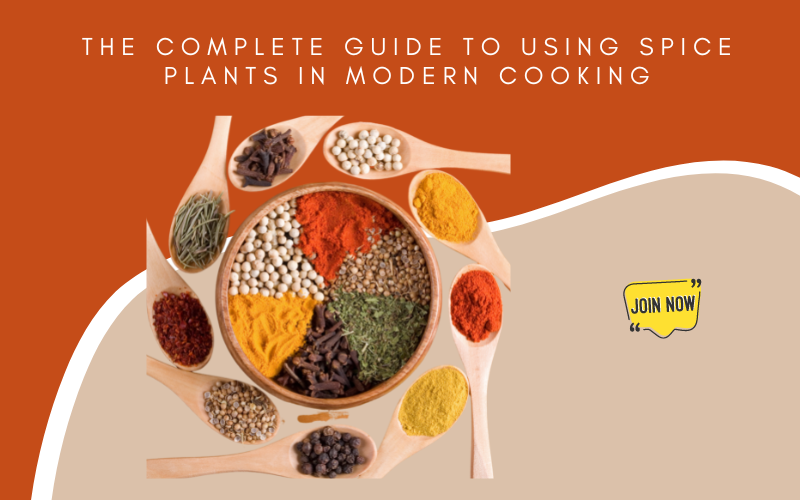 The Complete Guide to Using Spice Plants in Modern Cooking — Kadiyam ...