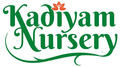 Kadiyam_Nursery_Logo