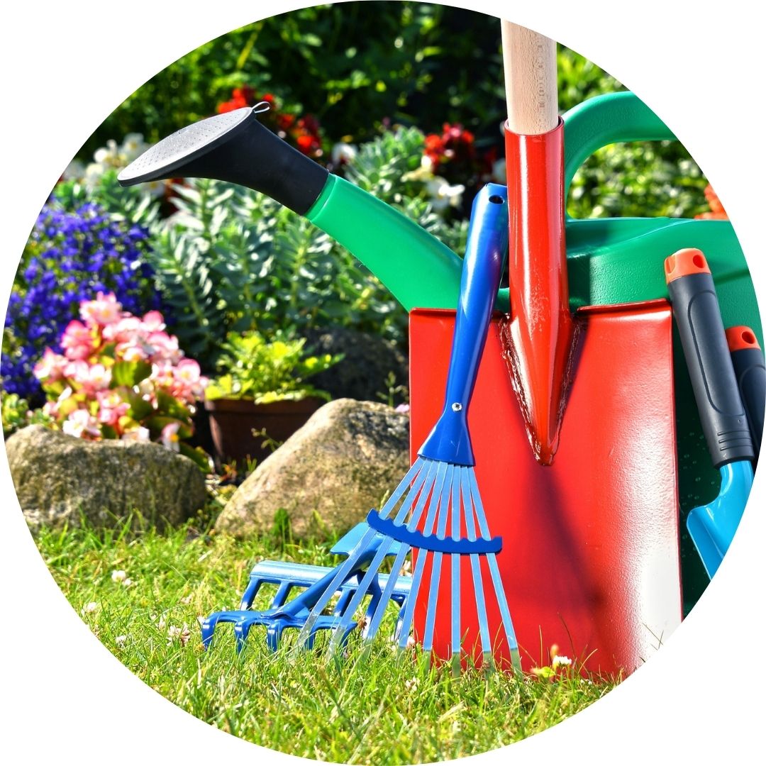 Kadiyam Nursery India's Largest Online Plant Nursery