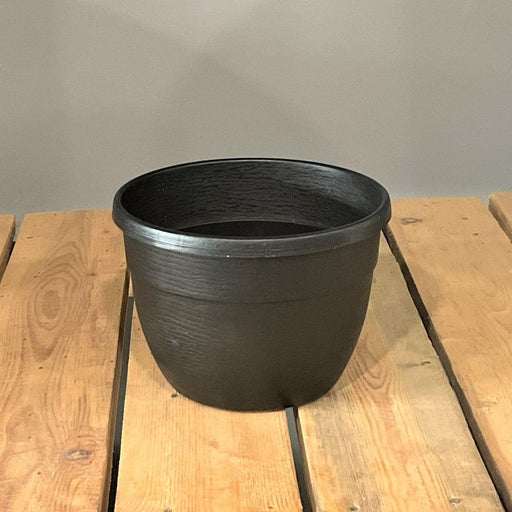 Bello Bowl Plastic Round Pot (Pack of 1)Flower Pot for Indoor Plants, Gardening, Balcony Garden Flowers, Home Decoration Pots - Kadiyam Nursery