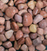 Brown 1 Kg Decorative Natural Pebbles - Kadiyam Nursery