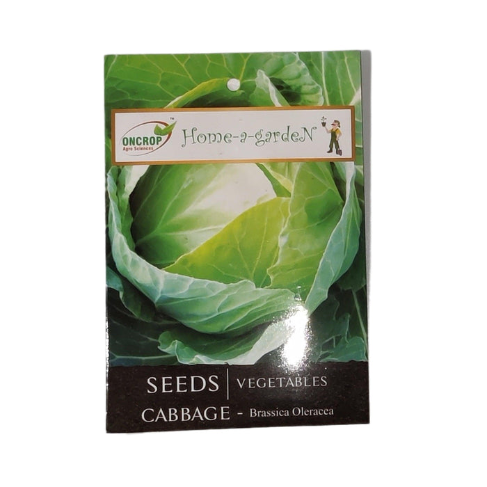 Cabbage vegitable seeds (pack of 100) - Kadiyam Nursery