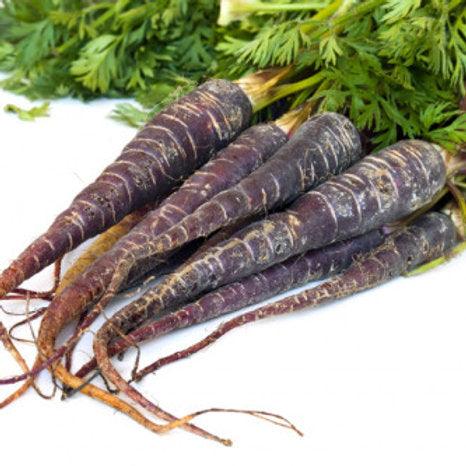 Carrot Black Wonder vegitable seeds (pack of 50 seeds) - Kadiyam Nursery