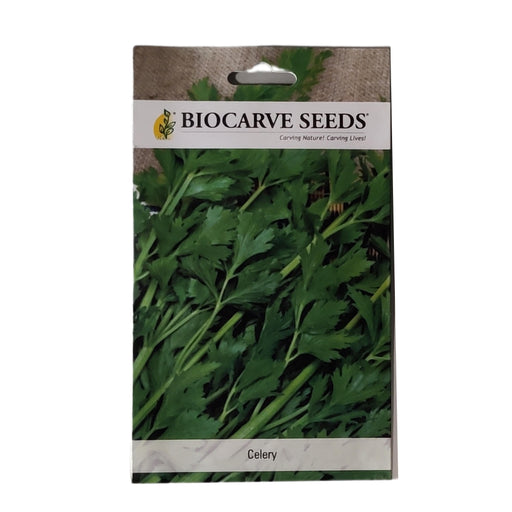 Celery  NM  vegitable seeds (pack of 50 seeds) - Kadiyam Nursery