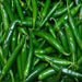 Chilli  vegitable seeds (pack of 50 seeds) - Kadiyam Nursery