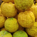 Citron Cirus Ganapathy Lemon Medica Live Plant Best Exotic Ganapathylemon (Healthy Plant) - Kadiyam Nursery