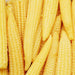 Corn Baby vegitable seeds (pack of 1) 30g - Kadiyam Nursery