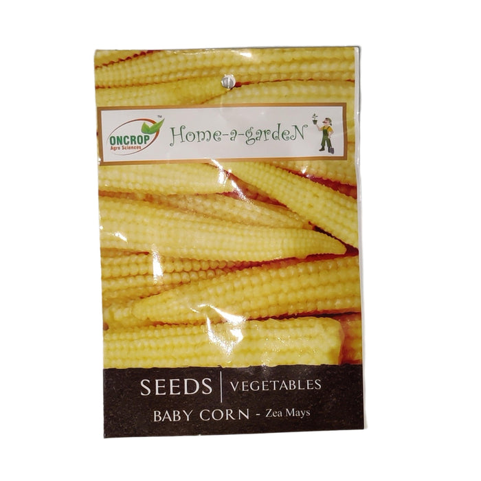 Corn Baby vegitable seeds (pack of 1) 30g - Kadiyam Nursery
