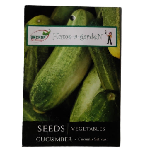 Cucumber vegitable seeds (pack of 50seeds) - Kadiyam Nursery