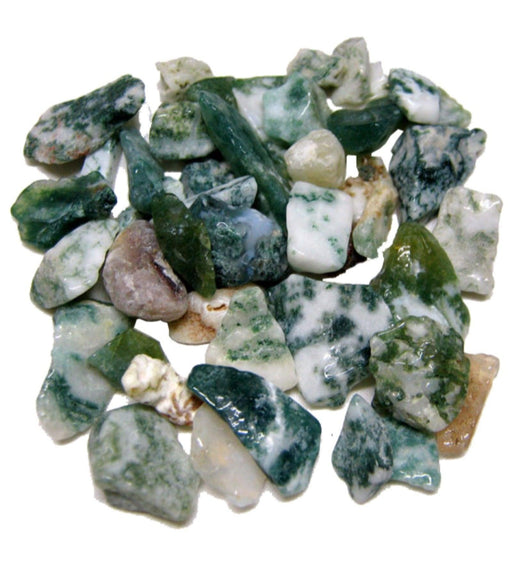 Dalme Green 2 Kg Decorative Natural River Chips Pebbles - Kadiyam Nursery