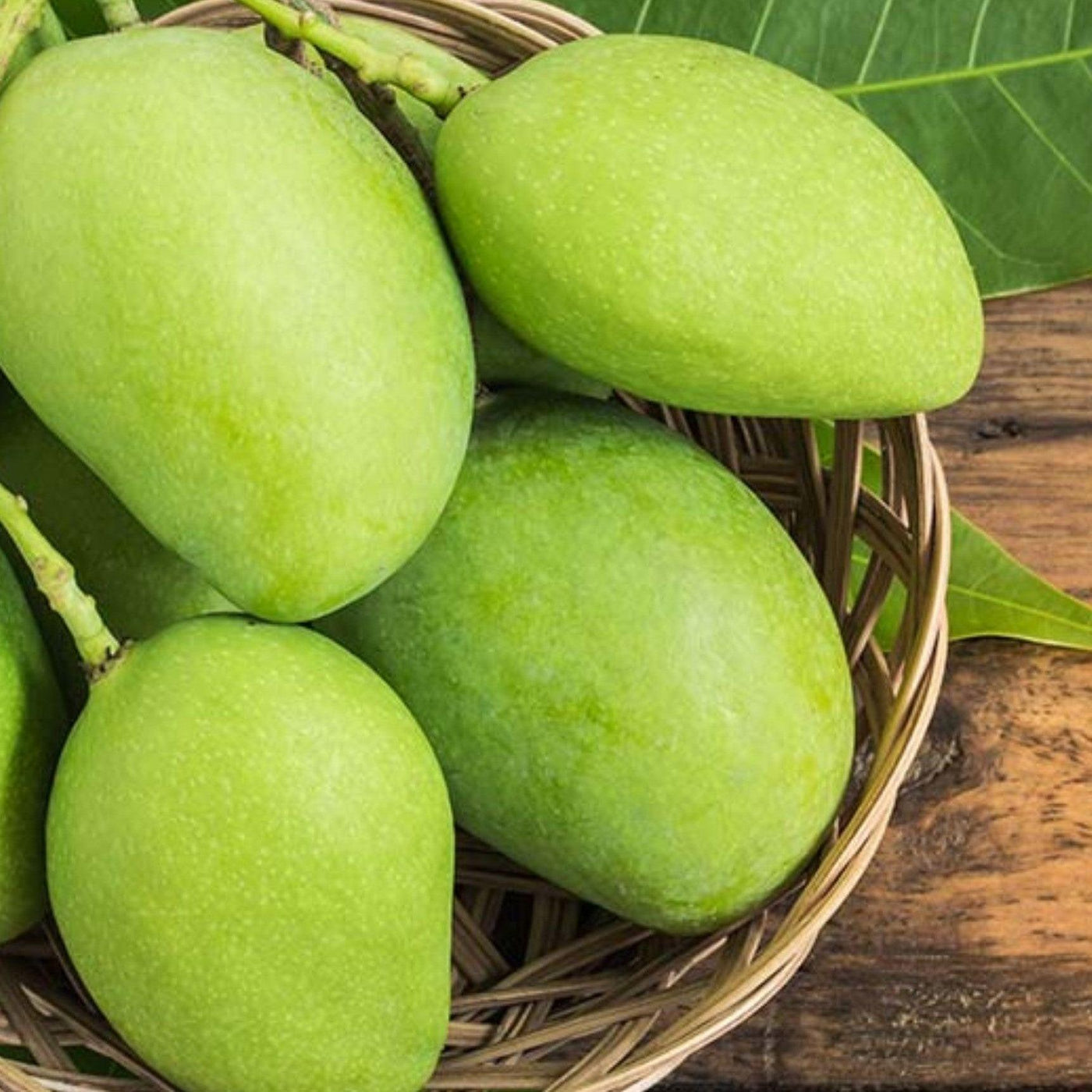 Shop The Best Mango Hybrid Plant Imam Pasand For Your Garden