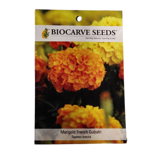 Marigold French gulzafri Flowring seeds (pack of 1) 30g - Kadiyam Nursery