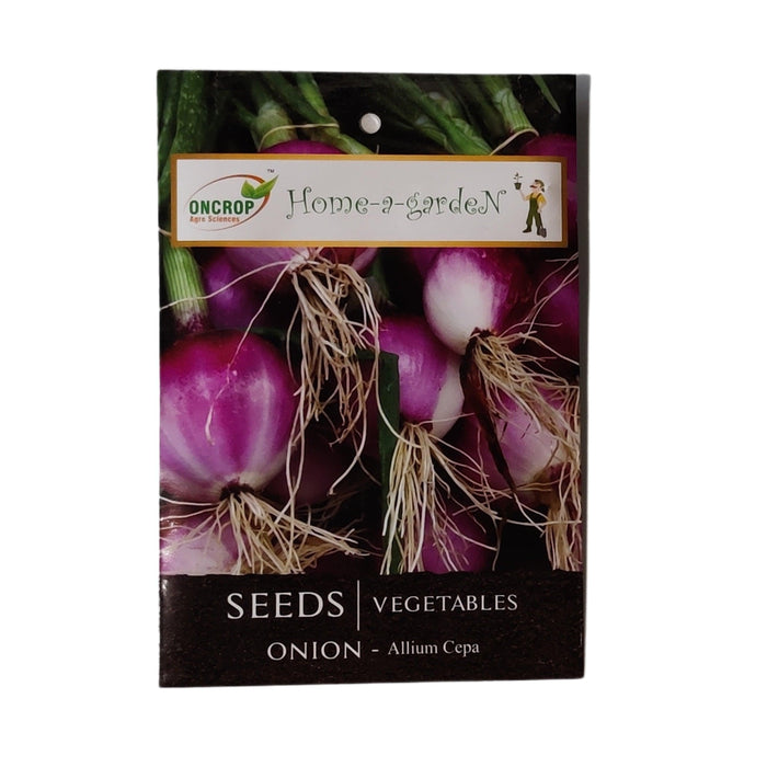Onion vegitable seeds (pack of 100) - Kadiyam Nursery