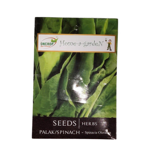 Palak spinach vegitable seeds (pack of 1) 30g - Kadiyam Nursery