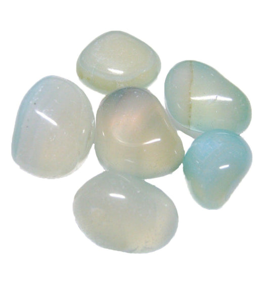 Pearl White 2 Kg Decorative Onyx Pebbles - Kadiyam Nursery