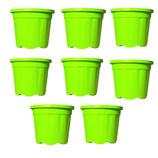 Plastic Grower Pot Multicolour, Colourful Grower Pot - Kadiyam Nursery