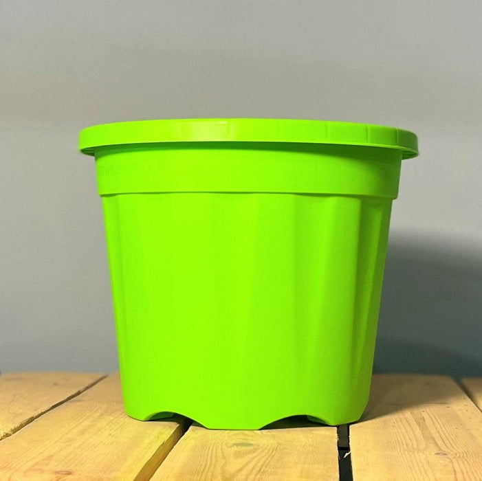 Plastic Grower Pot Multicolour, Colourful Grower Pot - Kadiyam Nursery