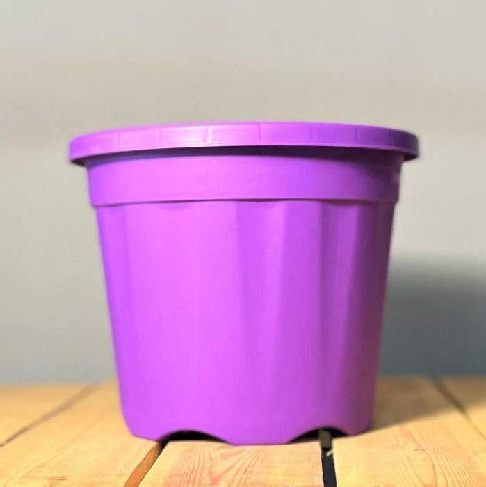 Colourful Non-Spill Paint POTS & LIDS at Rs 50/piece, Nursery Pots in  Ahmedabad