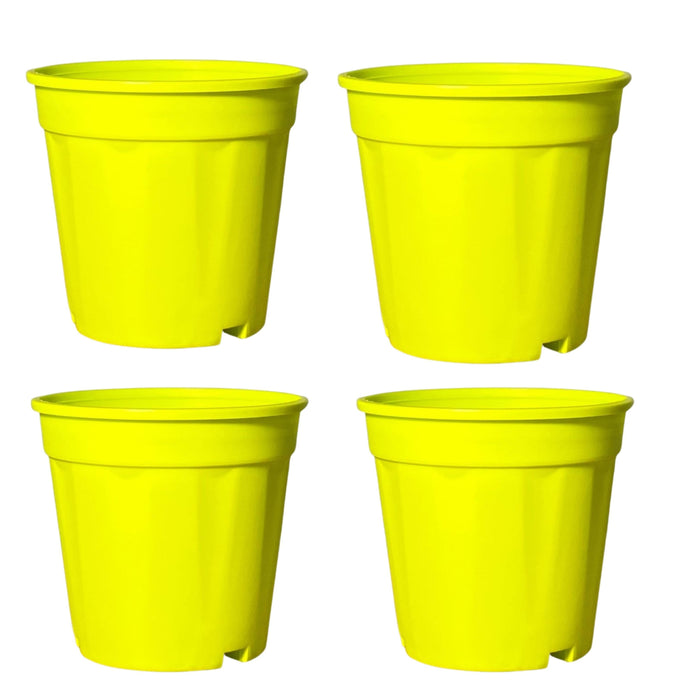 Plastic Grower Pot Multicolour, Colourful Grower Pot pack of 8 - Kadiyam Nursery