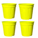 Plastic Grower Pot Multicolour, Colourful Grower Pot pack of 8 - Kadiyam Nursery