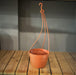 Plastic Hanging Basket / Hanging Pots with Plastic Hanging Roof/Hanging Planters - Kadiyam Nursery