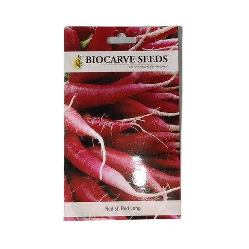 Radish long red vegitable seeds (pack of 100 seeds) - Kadiyam Nursery