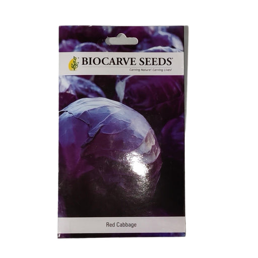 Red Cabbage vegitable seeds (pack of 50 seeds) - Kadiyam Nursery