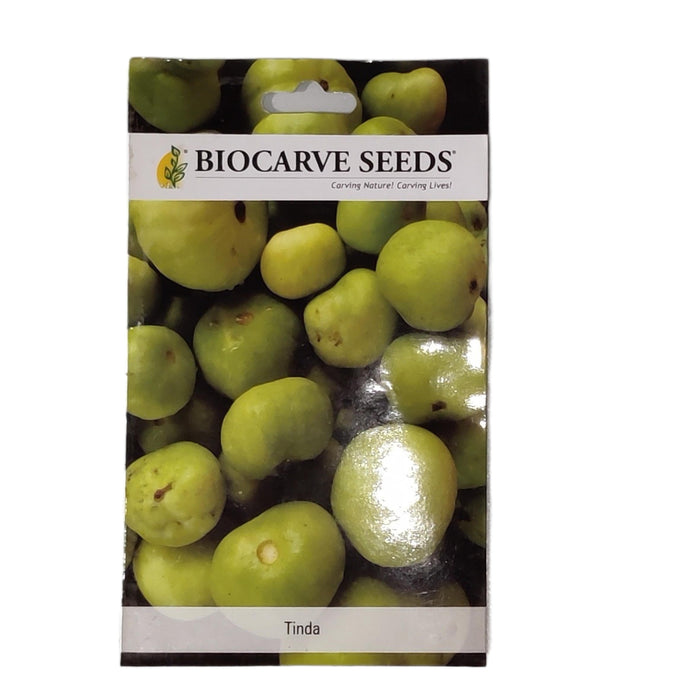 tinda  vegitable seeds (pack of 50 seeds) - Kadiyam Nursery
